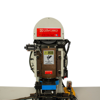 NT-210M-1 Zipper teeth removal (gapping & stripping) Machine