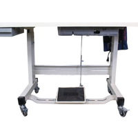 NT-725 COMPUTERIZED SINGLE NEEDLE SEWING MACHINE