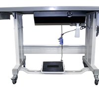 NT-1510 SINGLE NEEDLE WALKING FOOT W/ SERVO MOTOR