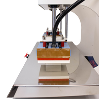 NT-611 DUAL HEAD HEAT TRANSFER MACHINE